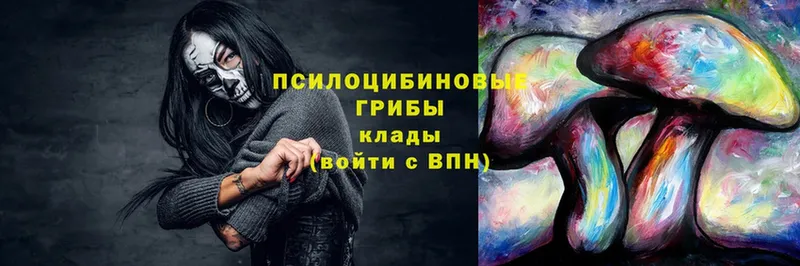 Какие есть наркотики Раменское Амфетамин  МЕТАДОН  Канабис  Меф мяу мяу  Галлюциногенные грибы 